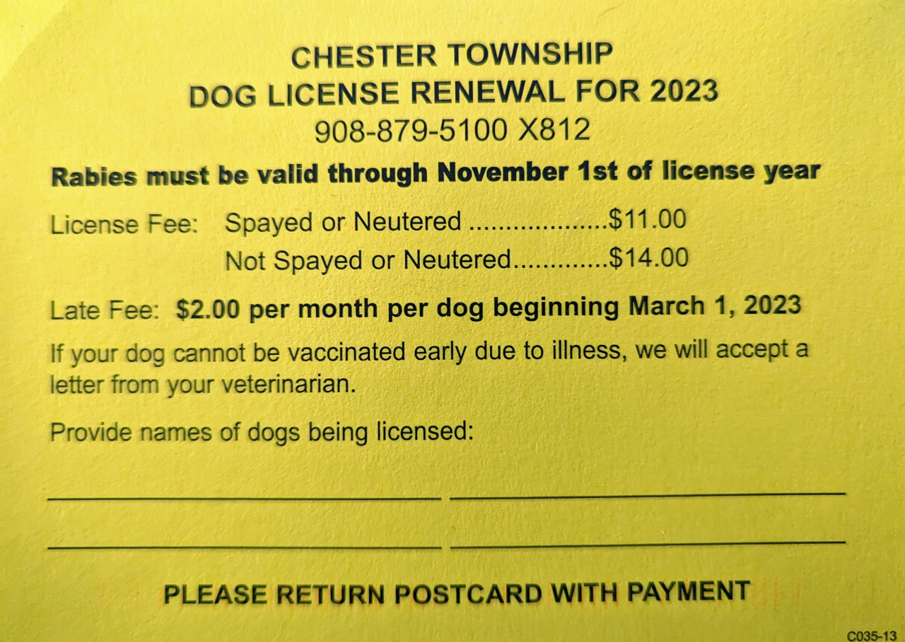 dog license card